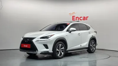 2018 Lexus NX