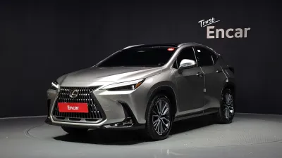 2025 Lexus NX