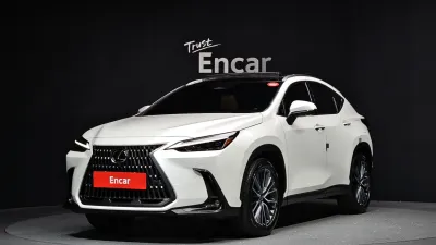 2025 Lexus NX