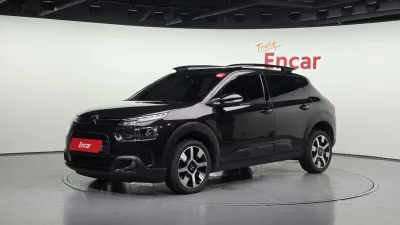 2019 Citroen-DS C4 CACTUS