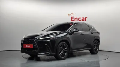 2025 Lexus NX